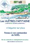 Affiche vente Huîtres Salon